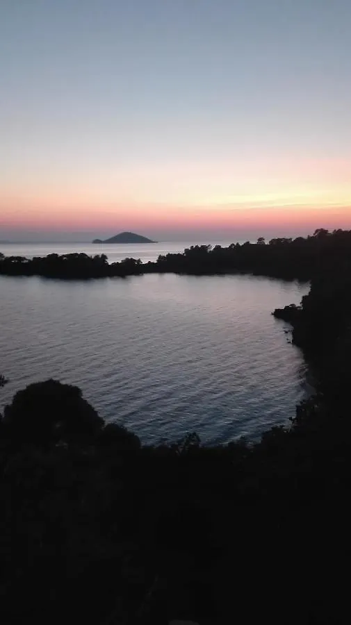 Studios Ioannou 新马尔马拉斯 公寓